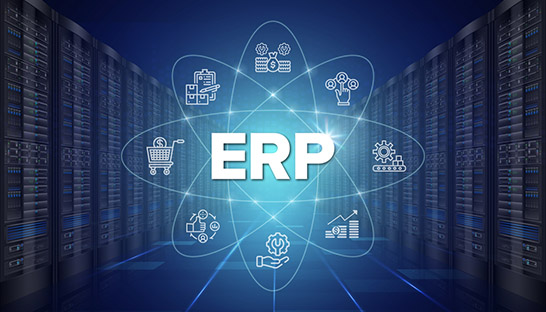 ERP (Enterprise Resource Planning) Systems